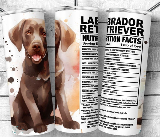 Chocolate Lab Retriever 20oz Tumbler